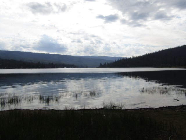 Tuolome Meadow 